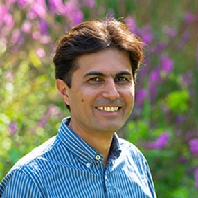 Prof. Payam Barnaghi